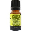 Plantlife Ho Wood Aromatherapy Essential Oil – 100% Pure, Therapeutic Grade, No Additives or Fillers, 10 ml - 2 of 2