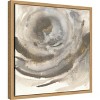 Amanti Art Gold Dust Nebula II by Chris Paschke Framed Canvas Wall Art - 3 of 4