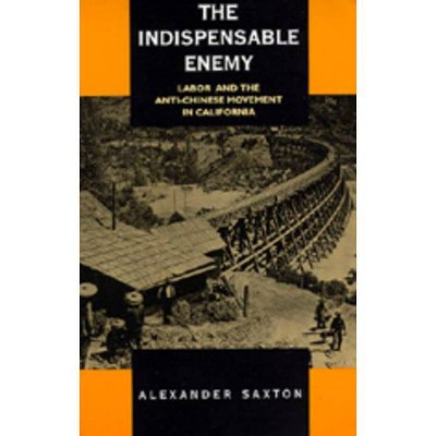 The Indispensable Enemy - by  Alexander Saxton (Paperback)