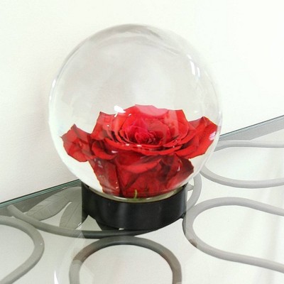 10" Clear Glass Globe Vase for Wedding Centerpieces