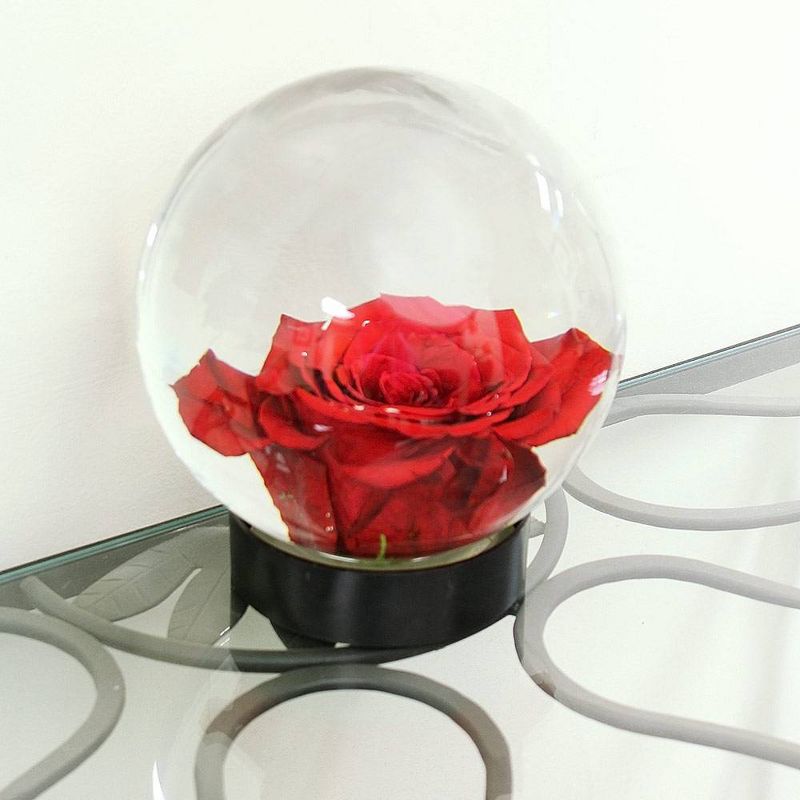 6.4&#34; Glass Globe Vase Clear - ACHLA Designs, 4 of 7