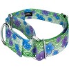 Country Brook Petz 1 1/2 Inch Martingale Dog Collar - Spring Collection - 3 of 4