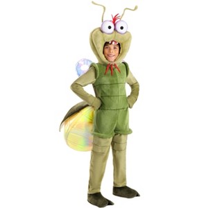 HalloweenCostumes.com Deluxe Disney Princess and the Frog Kid's Ray Costume | Disney Costumes - 1 of 4