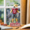 Evergreen NCAA Washington State Cougars Tiki Totem - 3 of 4