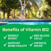 VitaWorks Kids - Vitamin B12 - 60 Jelly Beans - 4 of 4