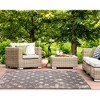 Liora Manne Carmel  Indoor/Outdoor Rug  Black.. - 3 of 4