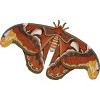 Boy's Design By Humans Atlas Moth By myartlovepassion T-Shirt - image 2 of 3