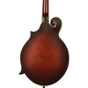 The Loar LM-310F Hand-Carved F-Style Mandolin Vintage Brown - image 2 of 4