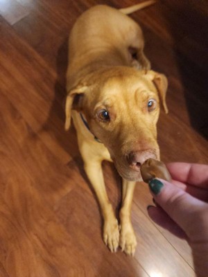 Guest review image 4 of 5, zoom in