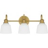 Hinton Aged Brass Bath Light - 4 of 4