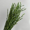 Alilang Decorative Dried Greenery Stems for Home Decoration and Floral Arrangements, 17.7 Inches - 3 of 3