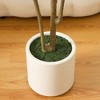 Dr.Planzen Artificial Olive Tree 5FT-7FT Tall - Realistic Tree with Potted White Planter, UV Resistant Leaves, Adjustable Branches for Home Decor - 4 of 4