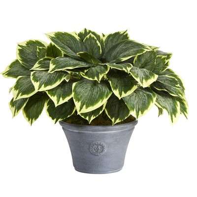 Nearly Natural 23-in Variegated Hosta Artificial Plant in Gray Planter