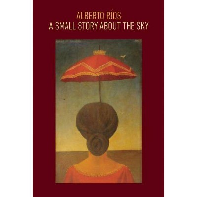 A Small Story about the Sky - by  Alberto Ríos (Paperback)