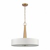 Elk Home Leo 4 - Light Pendant in  Brushed Gold - 3 of 3