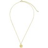 SHINE by Sterling Forever Sterling Silver CZ Polaris Disk Pendant Necklace - 2 of 3