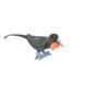 Collectible Wildlife Gifts | Frigatebird, Galapagos Islands, Hand Painted,  Plastic Bird Diorama, Model, Toy,  Gift,  3 1/2 Inches. F1526 B150 - 4 of 4