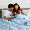 Bare Home Goose Down Alternative Comforter Set - 3 of 4