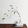 Attop 4 Pcs Artificial Ficus Branches Faux Eucalyptus Stems, 47.2 Inch Fake Greenery Stems Artificial Plants for Vase Filler Decoration - 2 of 4