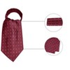 Allegra K Men's Polka Dots Adjustable Self-Tied Cravat Tie One Size - 2 of 4