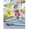 PoisePup – Luxury Pet Dog Waste Bag Holder – Soft Premium Italian Leather Poop Bag Dispenser - Desert Mint - 3 of 3