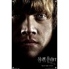 Trends International Harry Potter and the Deathly Hallows: Part 1 - Ron One Sheet Unframed Wall Poster Prints - 4 of 4