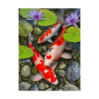 Koi Fish Under Lily Pads Canvas Art, 27" x 33"
