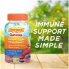 Emergen-C Vitamin C Gummies - Strawberry, Lemon & Blueberry - 45ct - 4 of 4