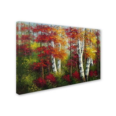 Trademark Fine Art -Rio 'Indian Summer' Canvas Art