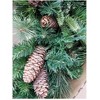 30-inch Pre-Lit Artificial Wreath with 50 Warm White LED Lights Battery Operated - 2 of 3