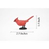 Collectible Wildlife Gifts | Cardinal Bird,  Rubber Bird, Educational, Realistic, Hand Painted,  Model,   Gift,   2 1/2"    F3390 B27 - 2 of 4