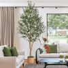 7ft Faux Olive Tree, Tall Olive Tree Plants, Fake Potted Olive Silk Tree - 3 of 4