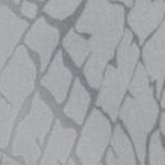 Elephant Gray
