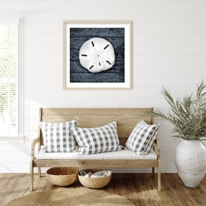 Amanti Art Seashore Shells Navy II by Marie Elaine Cusson Framed Wall Art Print - 1 of 4