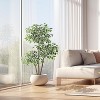 Artificial Ficus Tree, Faux Greenery Tree with White Tall Planter, Textured By Natural Trunks & White-Edged Leaves, for Indoor Outdoor Decor - 4 of 4