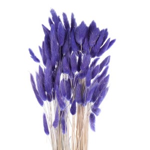 Unique Bargains Decorative Natural Dried Floral Bunny Tail Artificial Plants 120 Pcs - 1 of 4