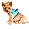 Doggie Design American River Choke Free Dog Harness Ombre Collection-Northern Lights - 3 of 4