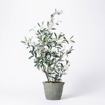 37" Artificial Olive Bush Tree in Pot Black - Threshold™ designed with Studio McGee