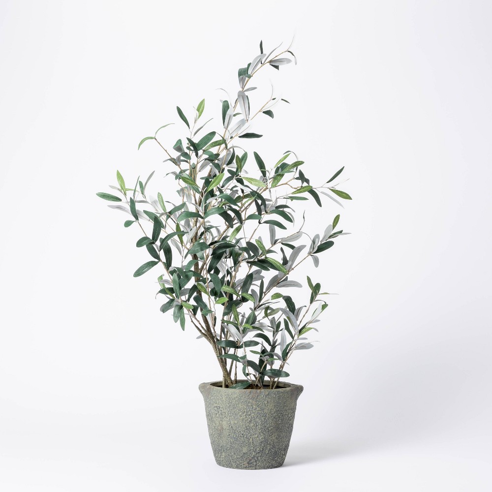 37" Artificial Olive Bush Tree in Pot Black - Threshold designed with Studio McGee