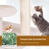 Tangkula Modern Cat Tree w/Top Perch Cattail Fluff Condo Cozy Nest Sisal Scratching Posts - 4 of 4