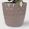 8" Foliage - Good Little Garden™ - 3 of 4
