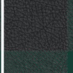 michigan state spartans