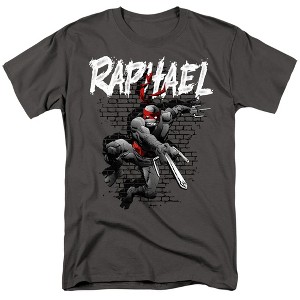 Men's Teenage Mutant Ninja Turtles Teenage Mutant Ninja Turtles Raphael T-Shirt - 1 of 4