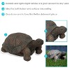 Sunnydaze Indoor/Outdoor Lifelike Large Tanya the Tortoise Patio Garden Yard Entryway Decorative Statue - 20" - 2 of 4
