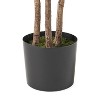 Cesicia 70.8'' Tall Artificial Fig Tree, Simulated Indoor Decoration - 3 of 4