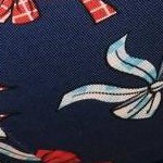 bows c01
