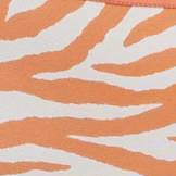 Orange/Zebra Print