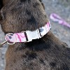 Country Brook Petz Premium Dog Collar - Camouflage Collection - 3 of 4