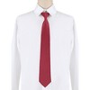 Allegra K Men's Pre Tied Formal Casual Zipper Solid Color Adjustable 8cm-wide Tie - 2 of 4