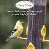 Happy Wings NO GROW Thistle/Nyjer Seed - 20lbs Bag - 4 of 4